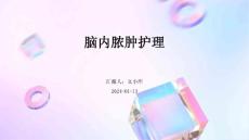 脑内脓肿护理PPT