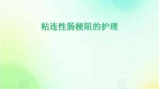 粘连性肠梗阻的护理ppt