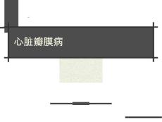 心脏瓣膜病