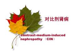 造影剂肾病培训-对比剂肾病ppt课件