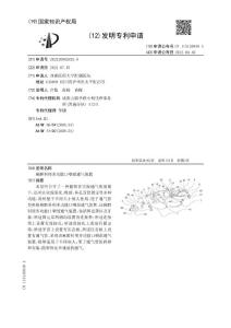 麻醉科用多功能口咽部通气装置