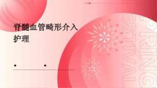 脊髓血管畸形介入护理ppt