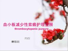 血小板减少性紫癜查房课件