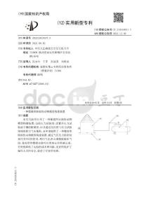 一种爆震性肺损伤动物模型构建装置