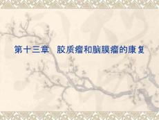 胶质瘤与脑膜瘤课件