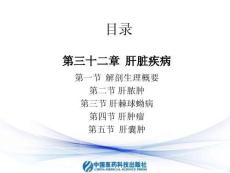 肝动脉栓塞治疗