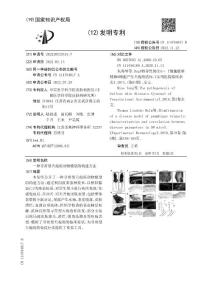 一种寻常型天疱疮动物模型的构建方法