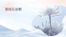 肾结石诊断