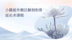 小腿前外侧区解剖和骨延长术课程