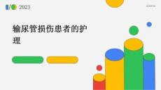 输尿管损伤患者的护理PPT