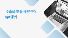 《蟾蜍坐骨神经干》课件