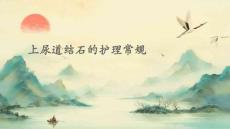 上尿道结石的护理常规ppt
