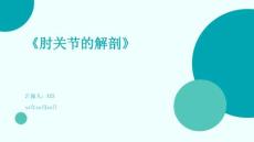肘关节的解剖