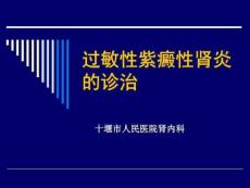 紫癜性肾炎-课件