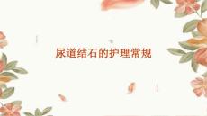尿道结石的护理常规ppt