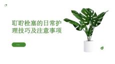 耵聍栓塞的日常护理技巧及注意事项