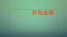 肝包虫病课件
