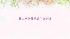 肺大疱切除术后个案护理ppt
