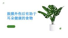 鼓膜外伤这些食物能帮助你恢复耳朵健康