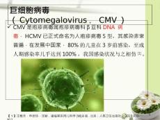 人巨细胞病毒感染讲义.ppt