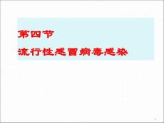 传染病学流感流感课件