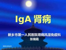 IgA肾病PPT课件