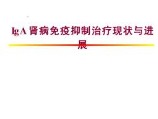IgA肾病治疗