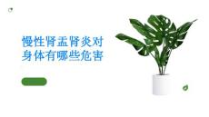 慢性肾盂肾炎慢性肾盂肾炎对身体有哪些危害