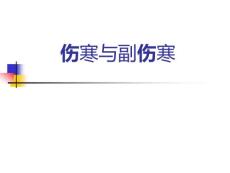 伤寒与副伤寒教学课件