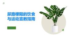 尿路梗阻的饮食与运动宣教指南