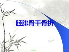 胫腓骨干骨折课件