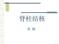 脊柱结核PPT模板课件