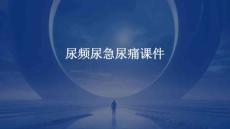 尿频尿急尿痛课件