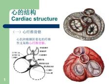 心脏粘液瘤医学PPT课件.ppt