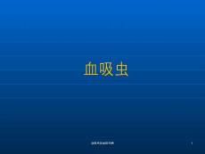 血吸虫及血吸虫病-课件