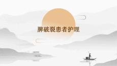 脾破裂患者护理ppt