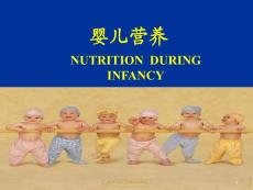 营养及婴儿喂养