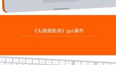 《头颈部肌肉》课件