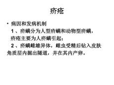 皮肤性病学动物性皮肤病.ppt