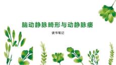 脑动静脉畸形与动静脉瘘