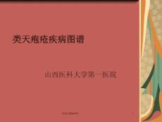 类天疱疮疾病图谱