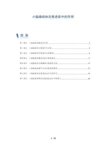 小脑扁桃体在焦虑症中的作用