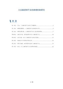 三尖瓣闭锁不全的病理机制研究