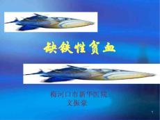 缺铁性贫血课件