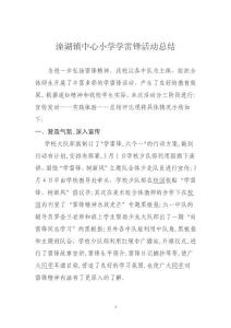 中心小学学雷锋活动总结