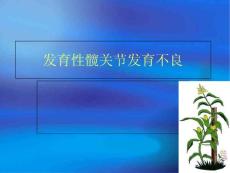 发育性髋关节发育不良ppt课件