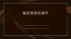 输尿管损伤课件