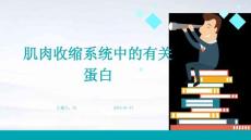 肌肉收缩系统中的有关蛋白