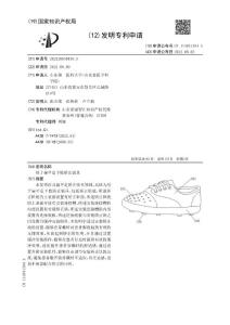 用于扁平足下肢矫正装具