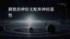 膀胱的神经支配和神经原性
